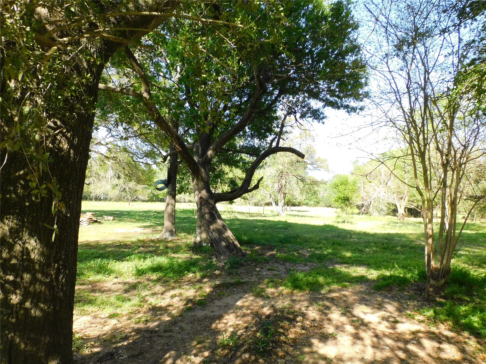 1215 N Meyer Street, Sealy, TX, 77474 | 85691086 | Realty Texas LLC