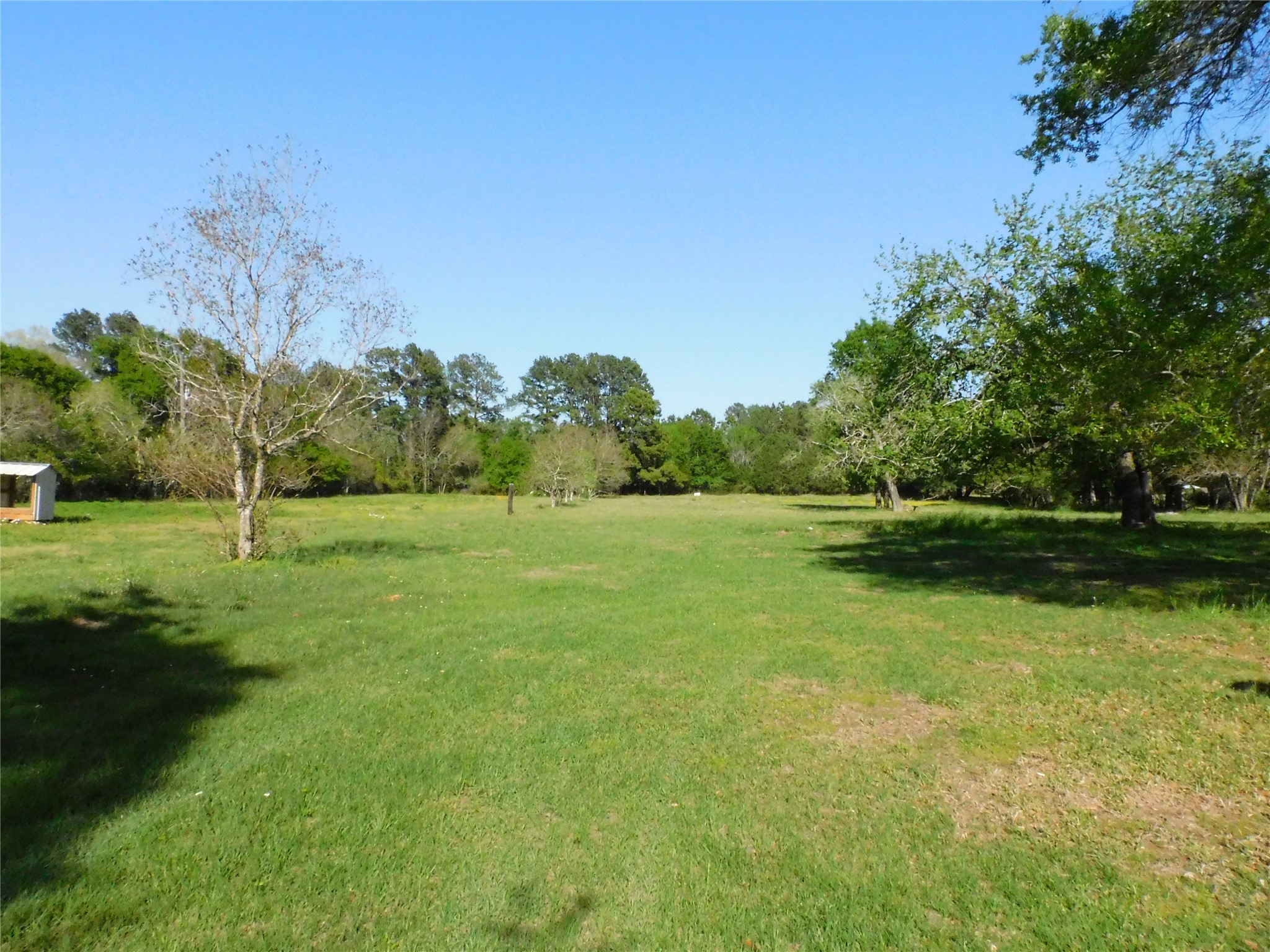 1215 N Meyer Street, Sealy, TX, 77474 | 85691086 | Realty Texas LLC