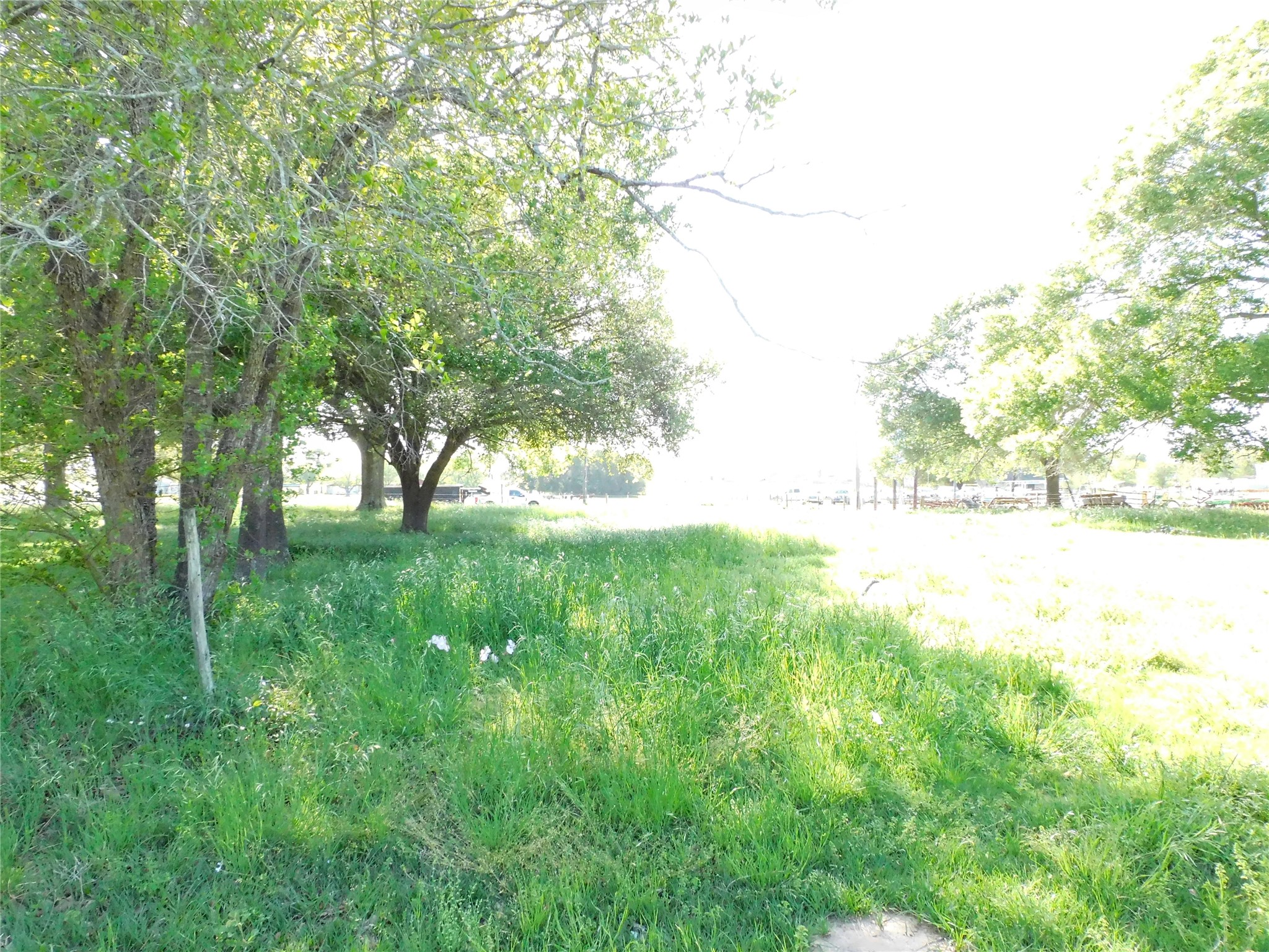 1215 N Meyer Street, Sealy, TX, 77474 | 85691086 | Realty Texas LLC