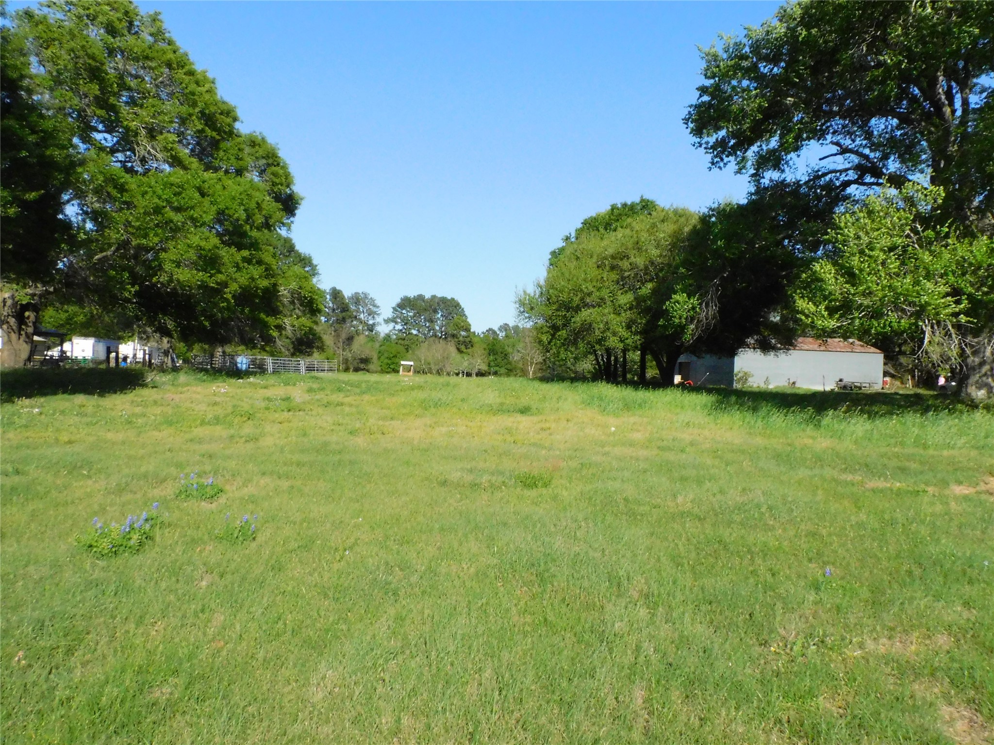 1215 N Meyer Street, Sealy, TX, 77474 | 85691086 | Realty Texas LLC