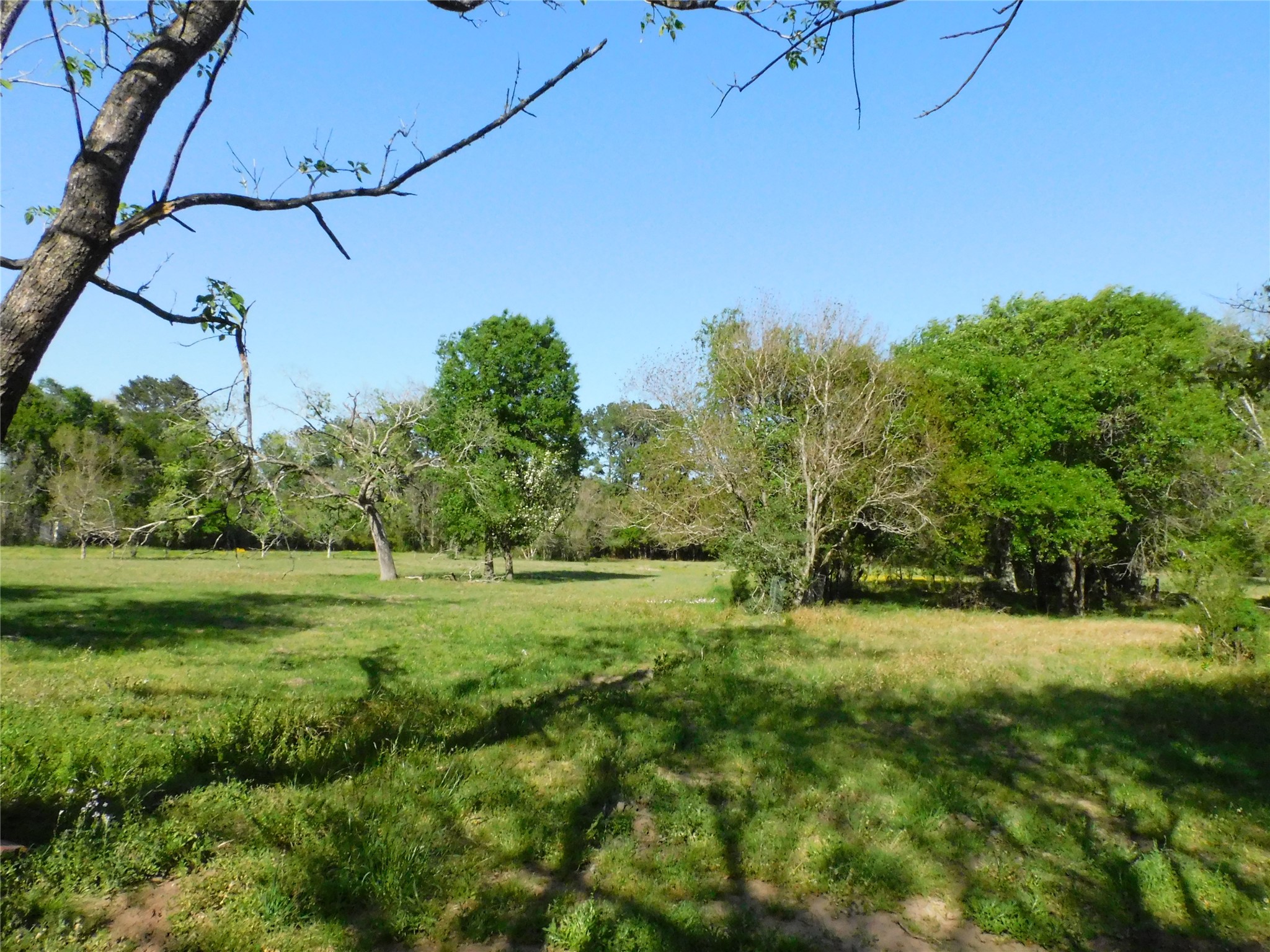 1215 N Meyer Street, Sealy, TX, 77474 | 85691086 | Realty Texas LLC