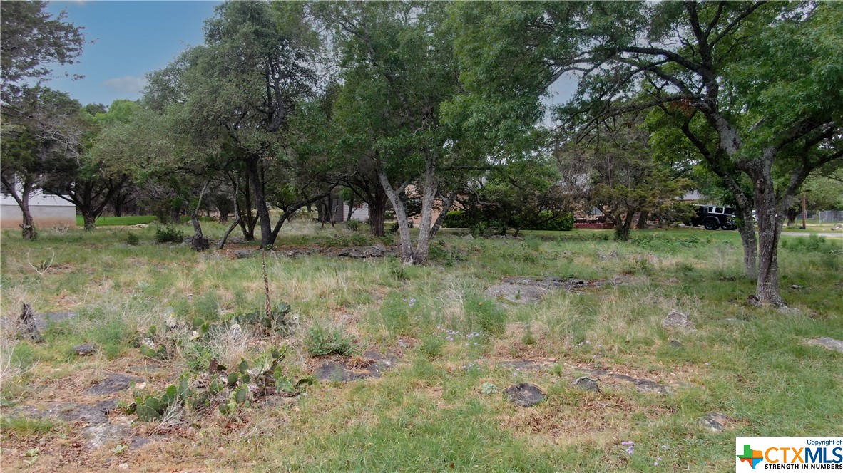 131 Canteen , Canyon Lake, TX, 78133 | 469693 | Realty Texas LLC