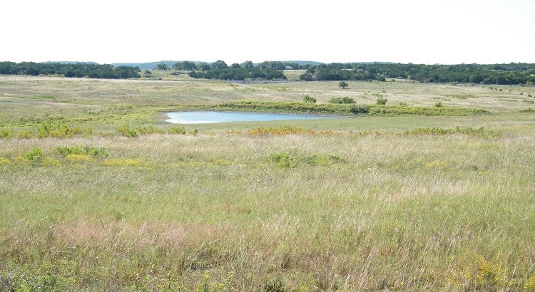 00 Westfall DR, Burnet, TX, 78611 | 1801002 | Realty Texas LLC