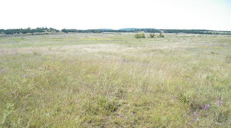 00 Westfall DR, Burnet, TX, 78611 | 1801002 | Realty Texas LLC