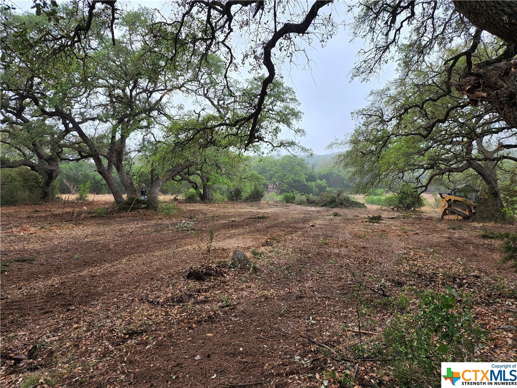 320 Copper Trace , New Braunfels, TX, 78132 | 470082 | Realty Texas LLC