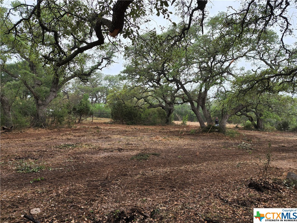 320 Copper Trace , New Braunfels, TX, 78132 | 470082 | Realty Texas LLC