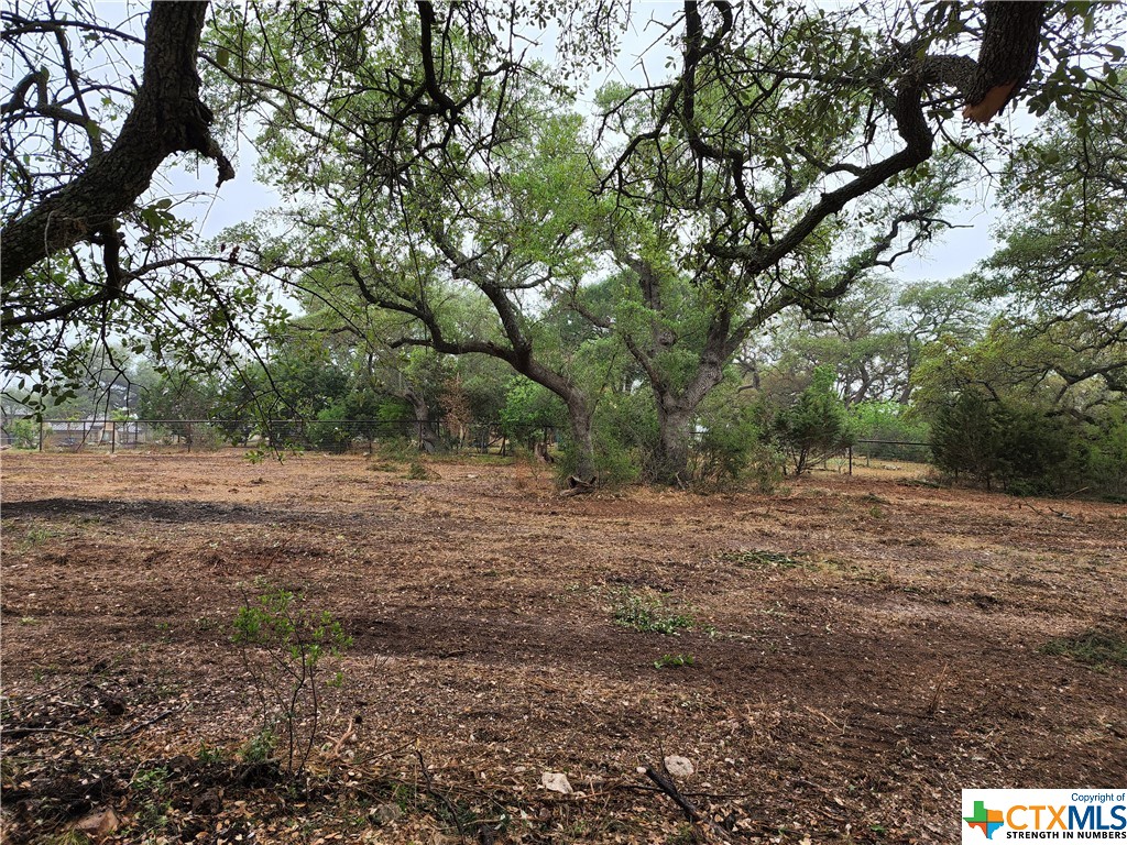 320 Copper Trace , New Braunfels, TX, 78132 | 470082 | Realty Texas LLC