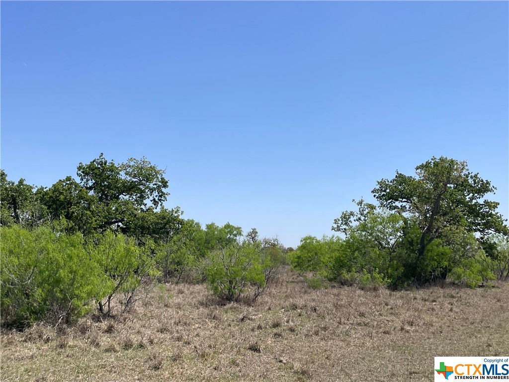 234 Elliott Road , Refugio, TX, 78377 | 470361 | Realty Texas LLC