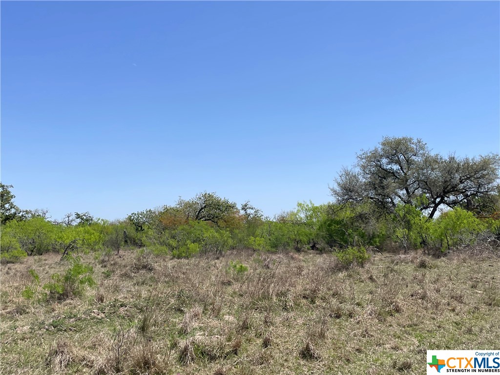 234 Elliott Road , Refugio, TX, 78377 | 470361 | Realty Texas LLC
