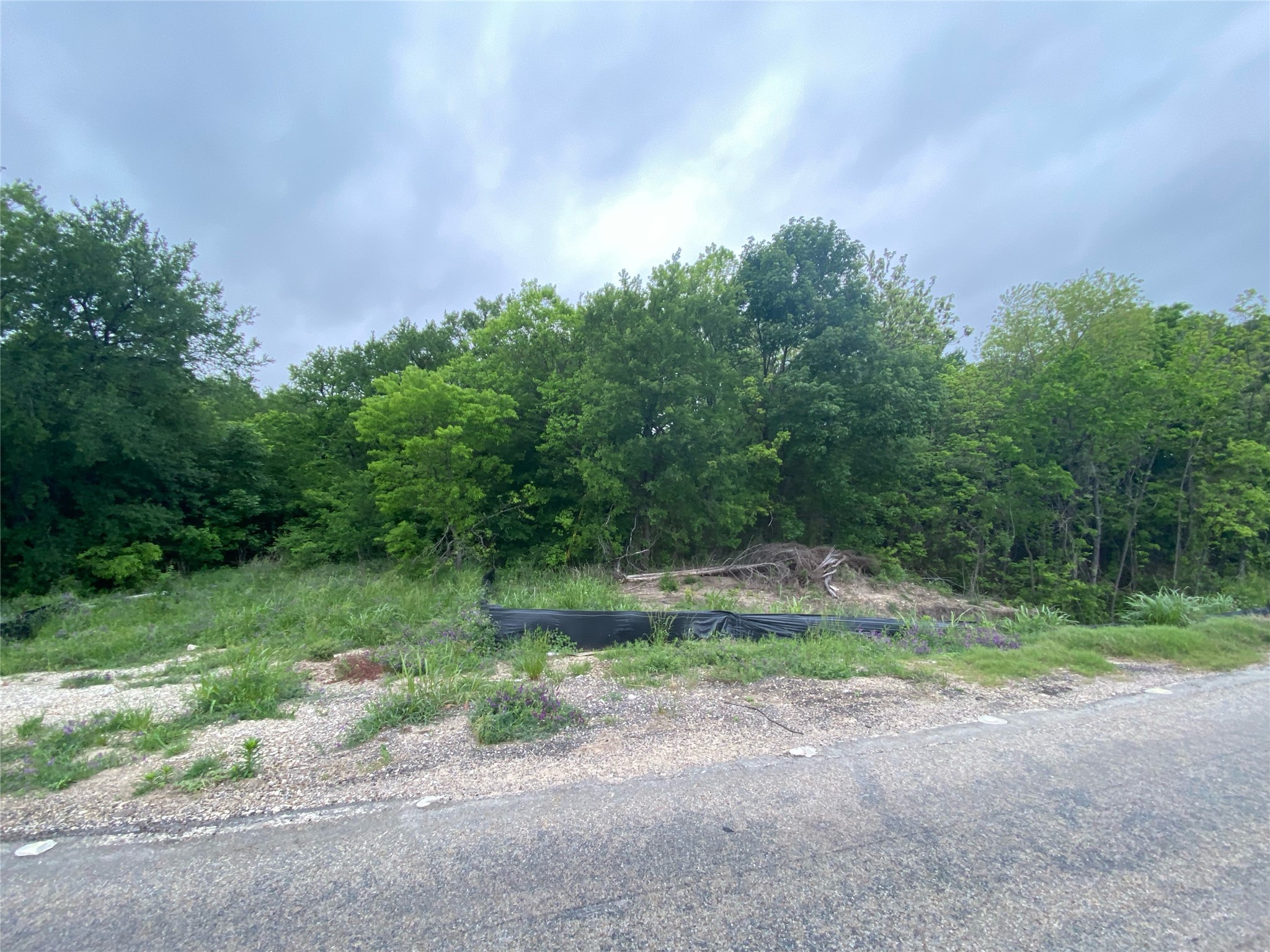 0000 Hwy 75, Sherman, TX, 75092 | 20044677 | Realty Texas LLC