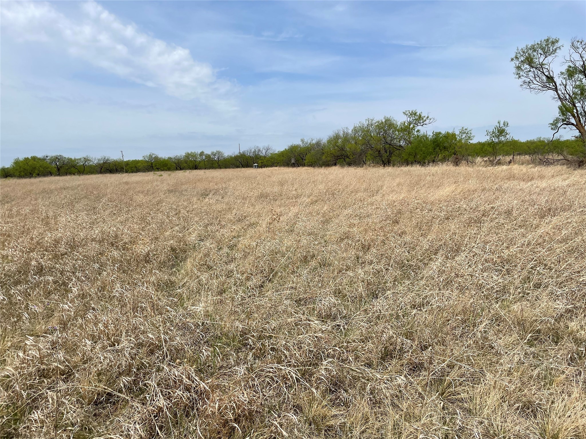TBD Hwy 6, Albany, TX, 76424 | 20027287 | Realty Texas LLC