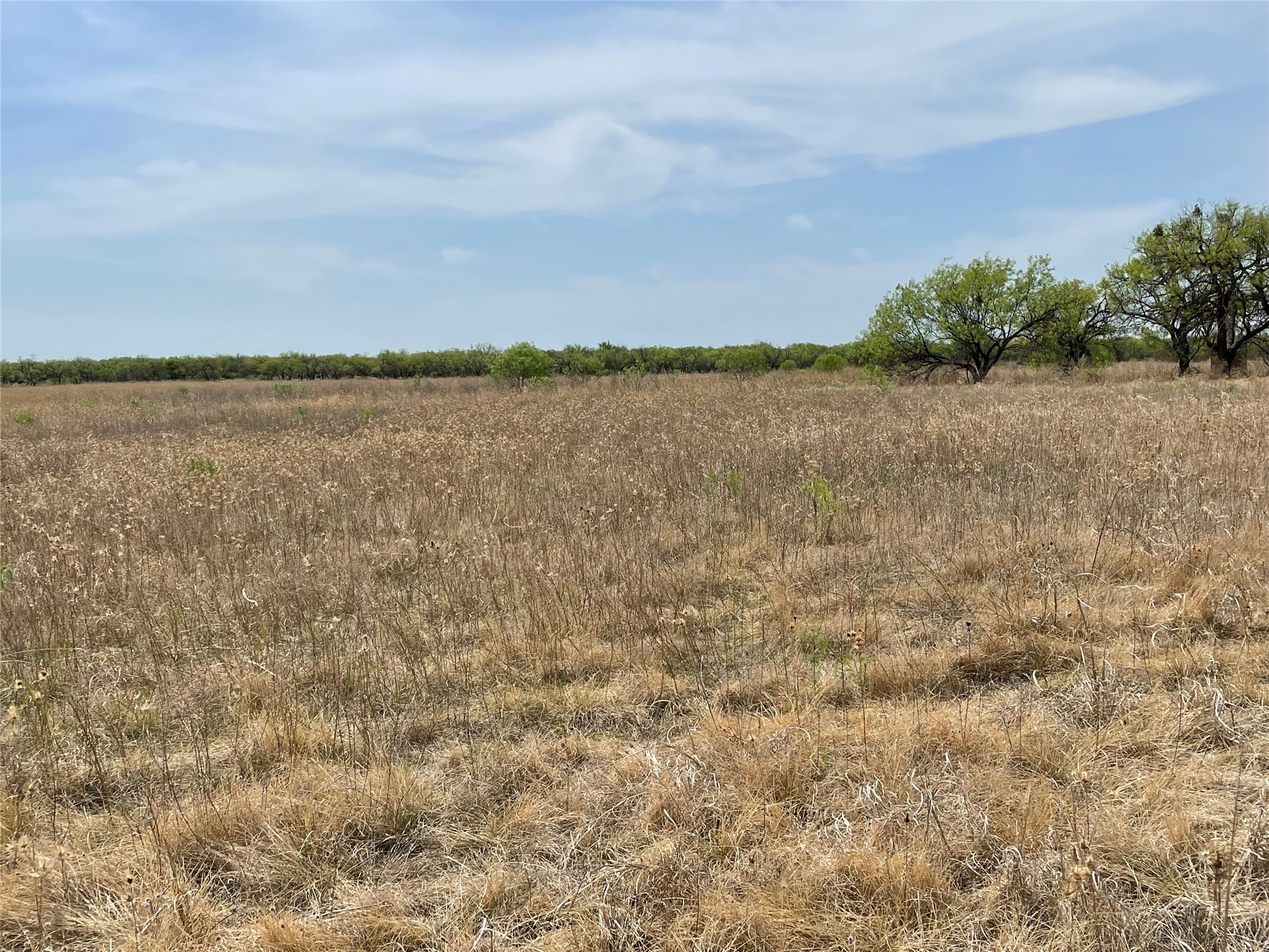 TBD Hwy 6, Albany, TX, 76424 | 20027287 | Realty Texas LLC