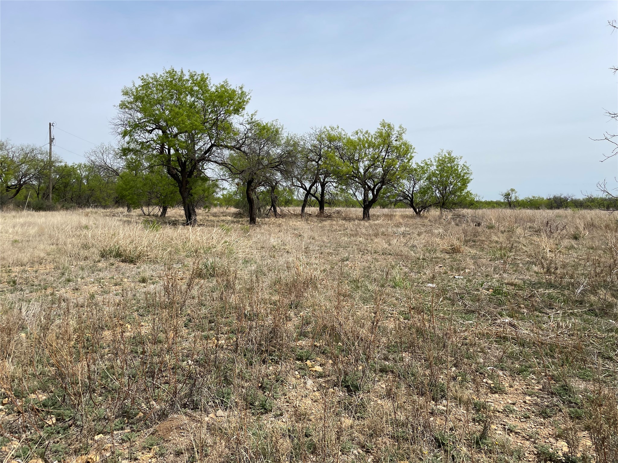 TBD Hwy 6, Albany, TX, 76424 | 20027287 | Realty Texas LLC