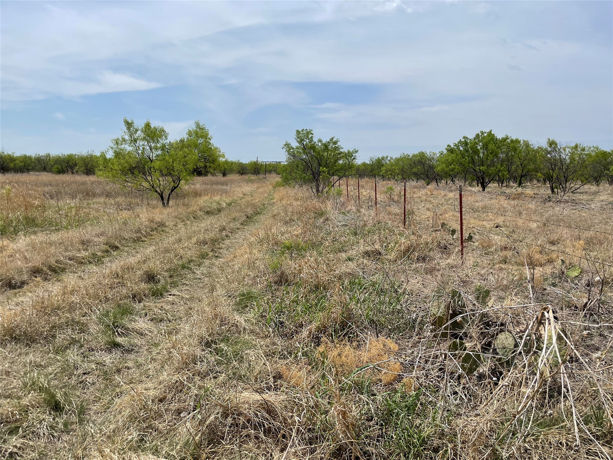 TBD Hwy 6, Albany, TX, 76424 | 20027287 | Realty Texas LLC