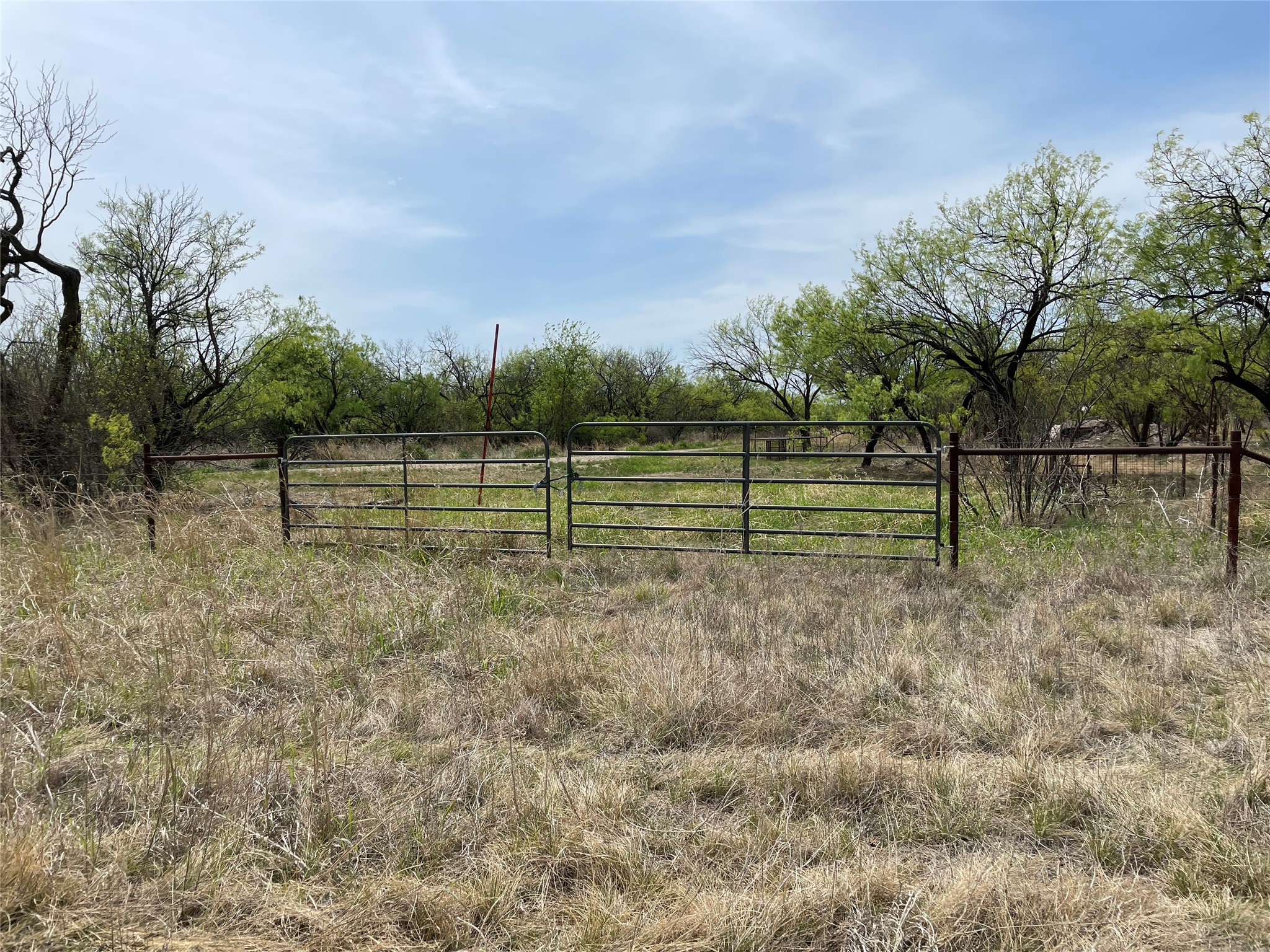 TBD Hwy 6, Albany, TX, 76424 | 20027287 | Realty Texas LLC