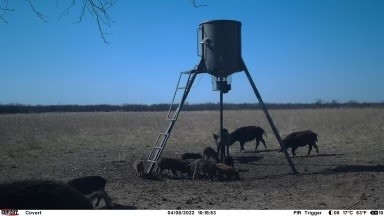 TBD Hwy 6, Albany, TX, 76424 | 20027287 | Realty Texas LLC