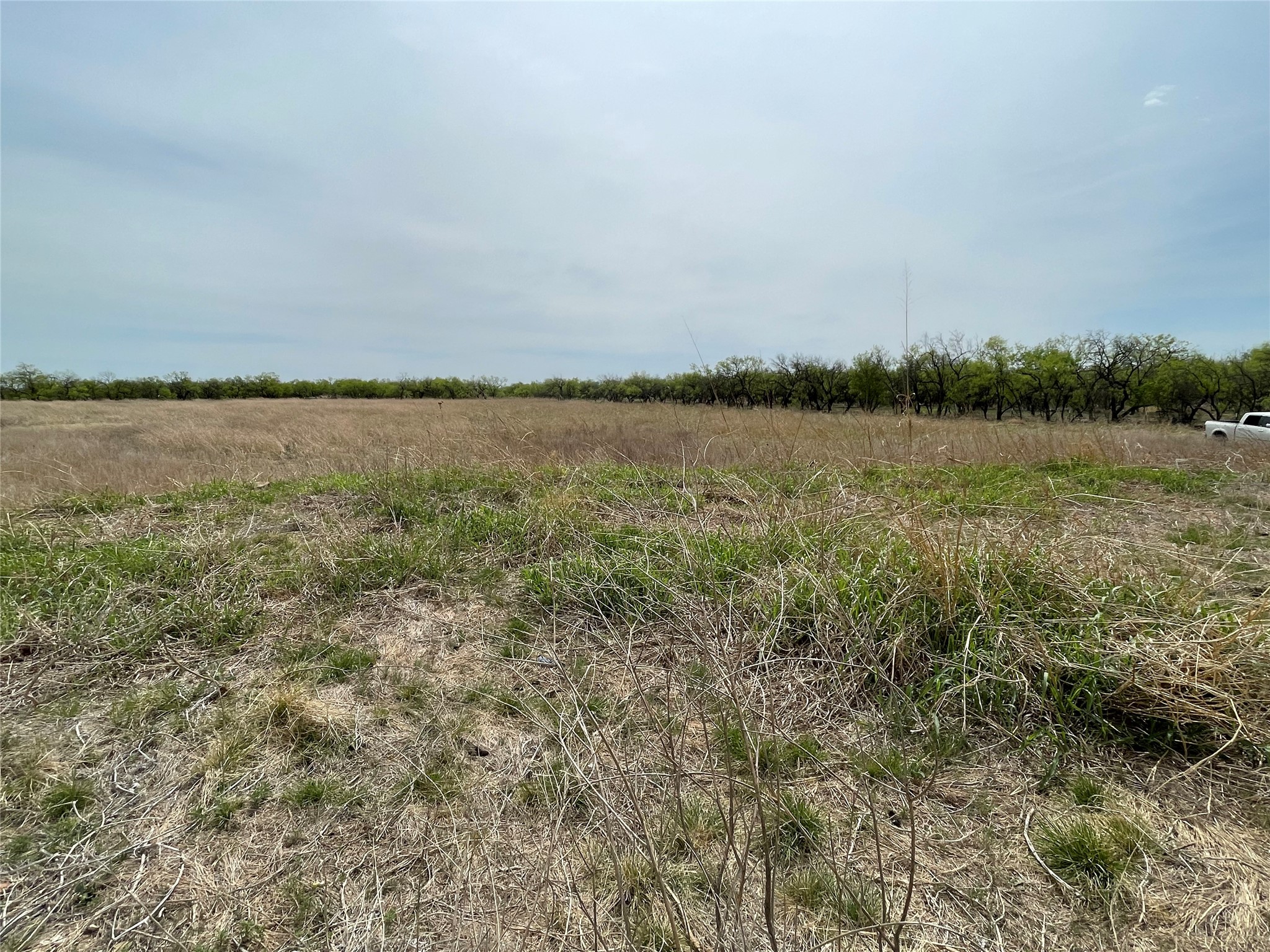 TBD Hwy 6, Albany, TX, 76424 | 20027287 | Realty Texas LLC