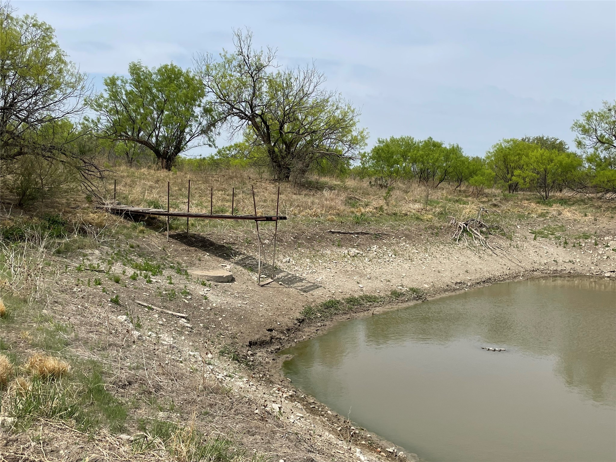 TBD Hwy 6, Albany, TX, 76424 | 20027287 | Realty Texas LLC