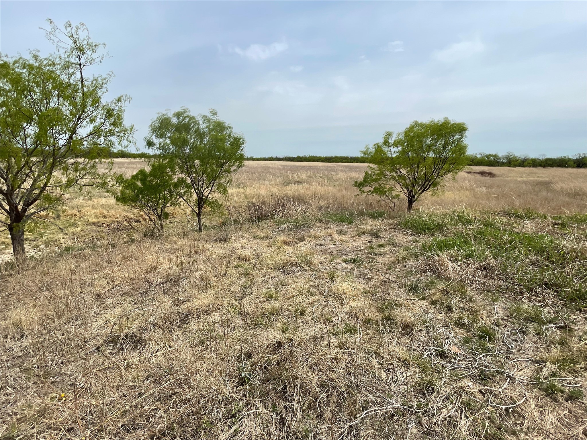 TBD Hwy 6, Albany, TX, 76424 | 20027287 | Realty Texas LLC