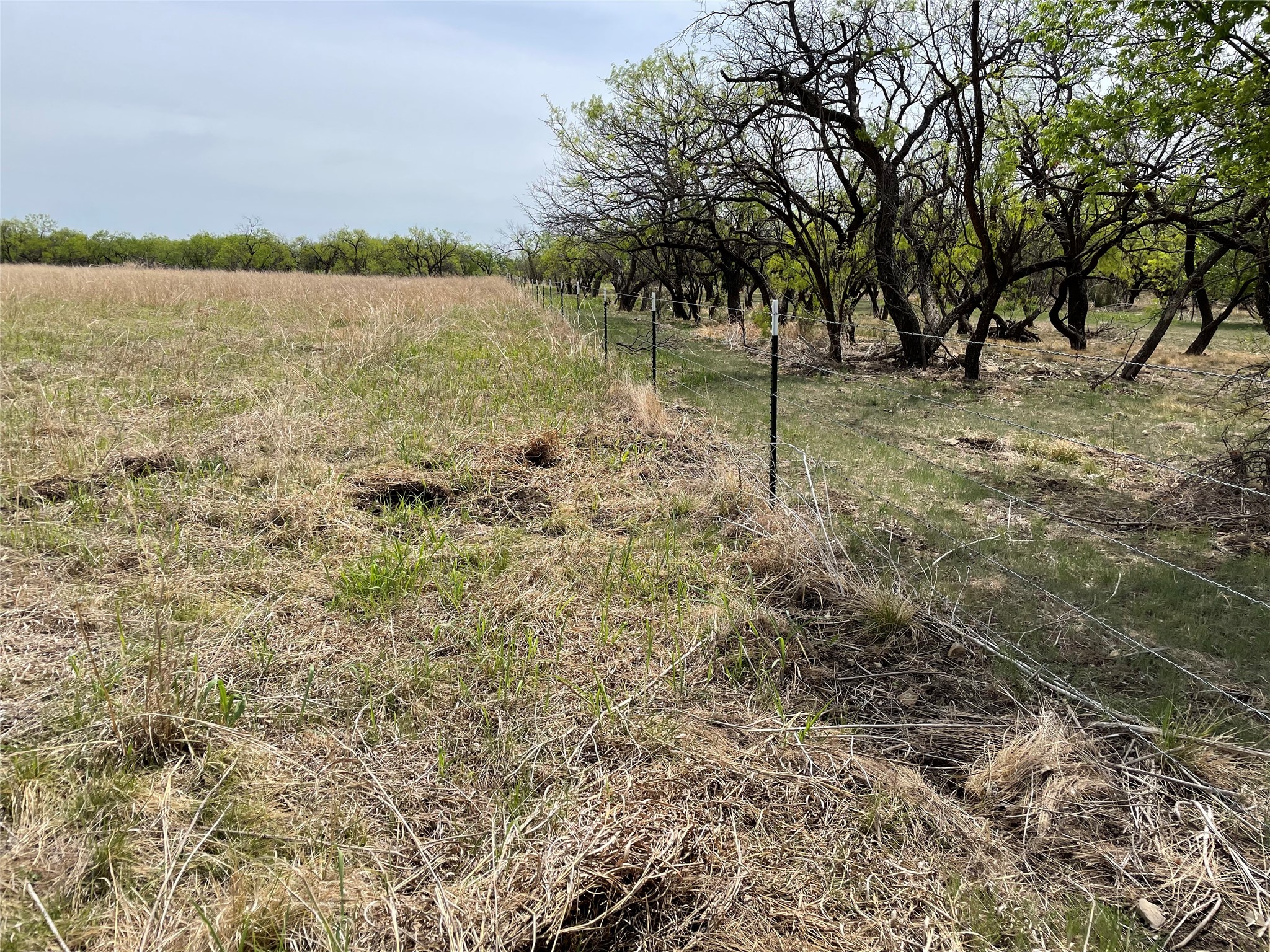 TBD Hwy 6, Albany, TX, 76424 | 20027287 | Realty Texas LLC