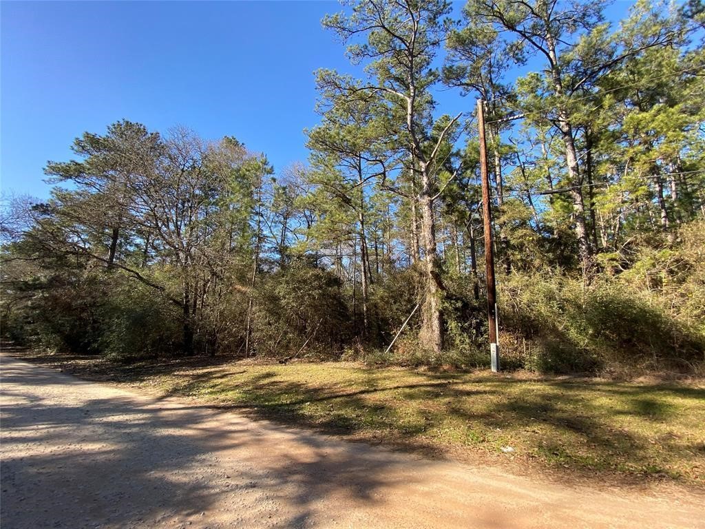 00TBD Dogwood Lane , Plantersville, TX, 77363 | 75651757 | Realty Texas LLC