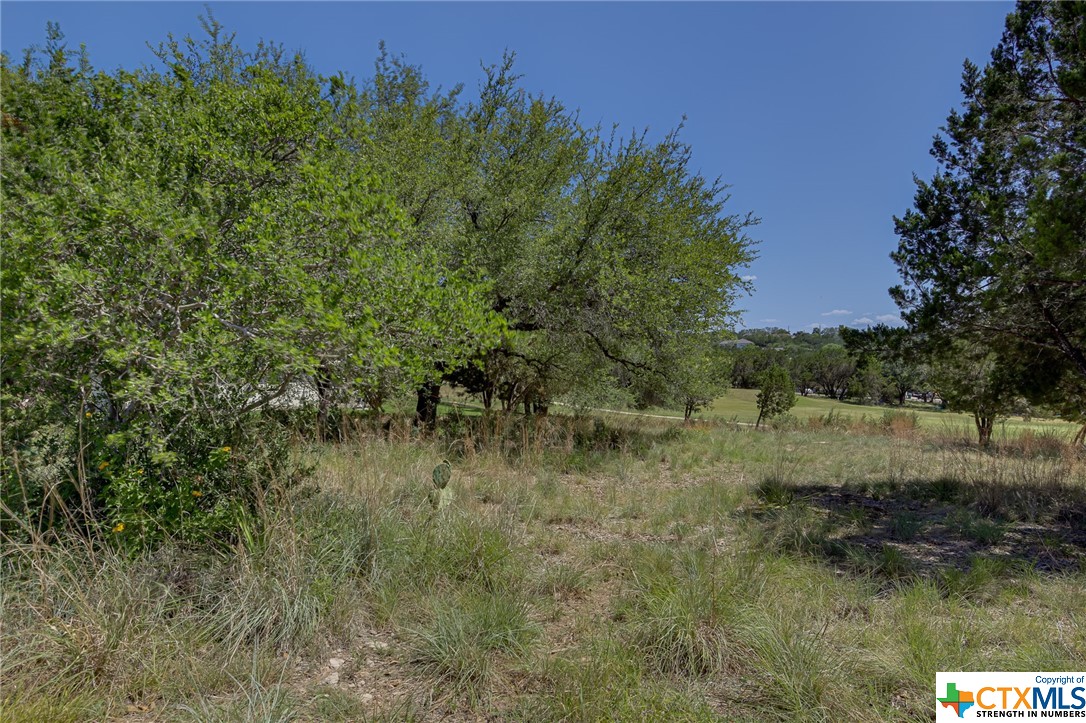 Sold: 20905 Twisting Trail Blog Image Banner