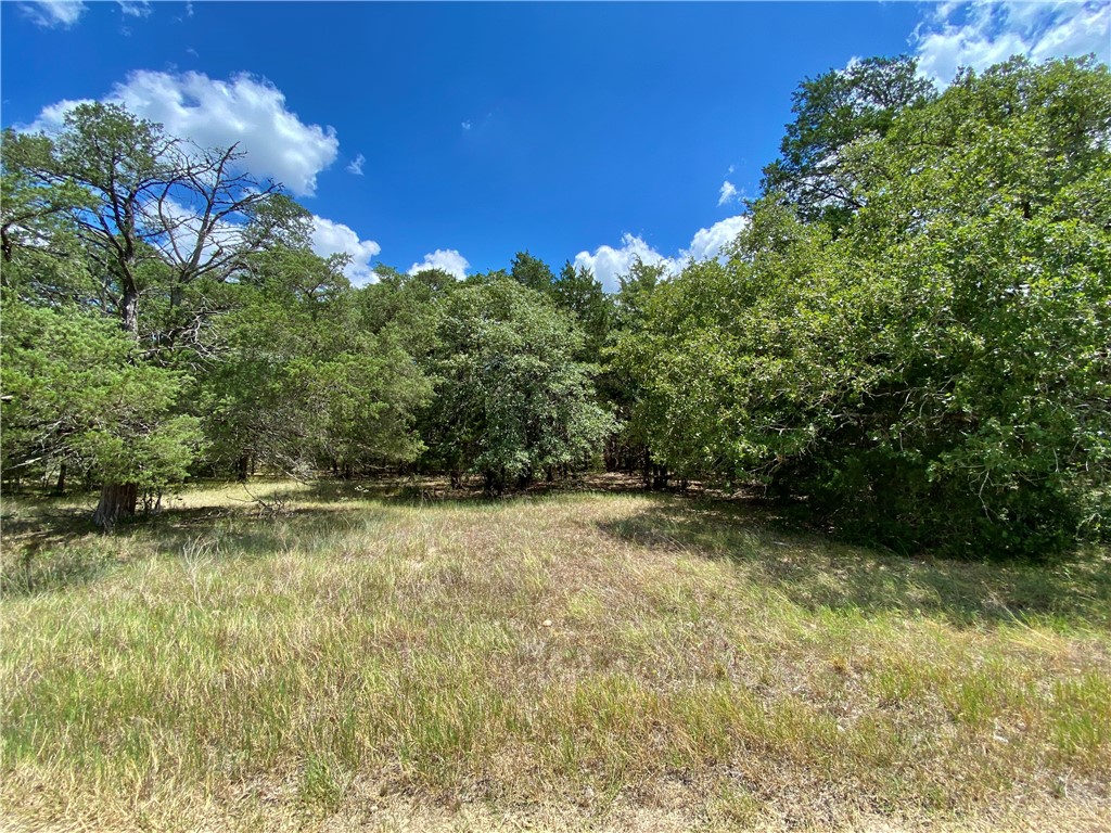 TBD Goehring Rd - Tract 4 , Ledbetter, TX, 78946 | 2030314 | Realty Texas LLC