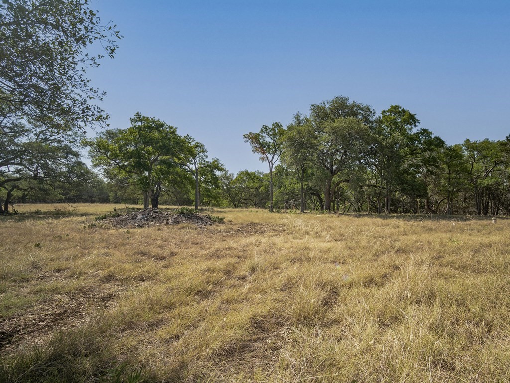 113 La Luna Drive , Blanco, TX, 78606 | 8422442 | Realty Texas LLC
