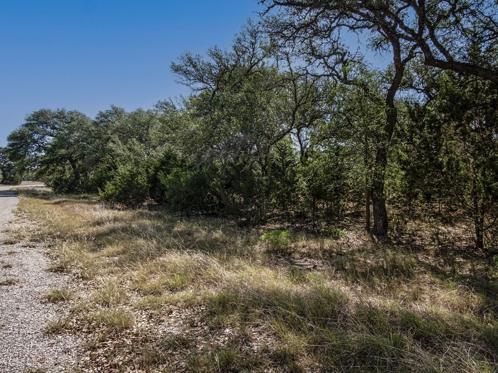 113 La Luna Drive , Blanco, TX, 78606 | 8422442 | Realty Texas LLC