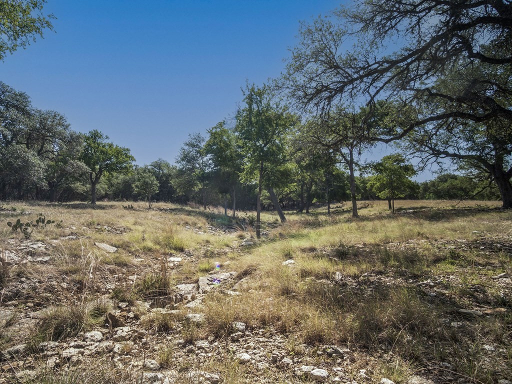 113 La Luna Drive , Blanco, TX, 78606 | 8422442 | Realty Texas LLC