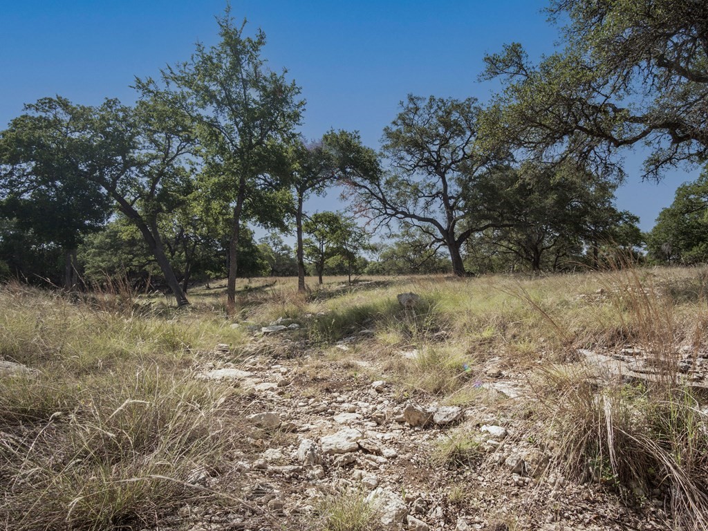 113 La Luna Drive , Blanco, TX, 78606 | 8422442 | Realty Texas LLC