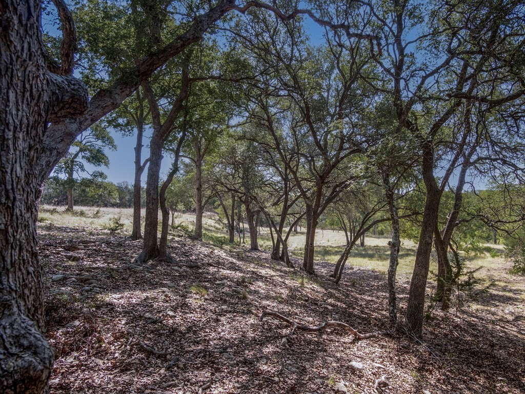 113 La Luna Drive , Blanco, TX, 78606 | 8422442 | Realty Texas LLC