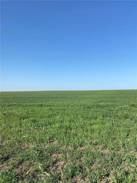 TBD Hcr 3110 Road , Penelope, TX, 76676 | 209563 | Realty Texas LLC