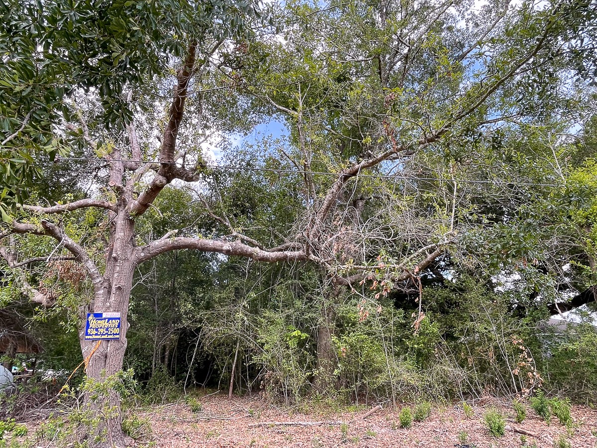 2542 Pine Park Road , Silsbee, TX, 77656 | 44082143 | Realty Texas LLC