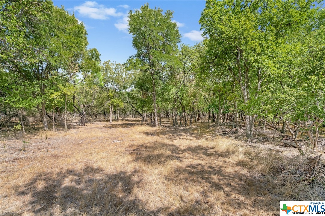 5610 Verbena Road , San Antonio, TX, 78240 | 480713 | Realty Texas LLC