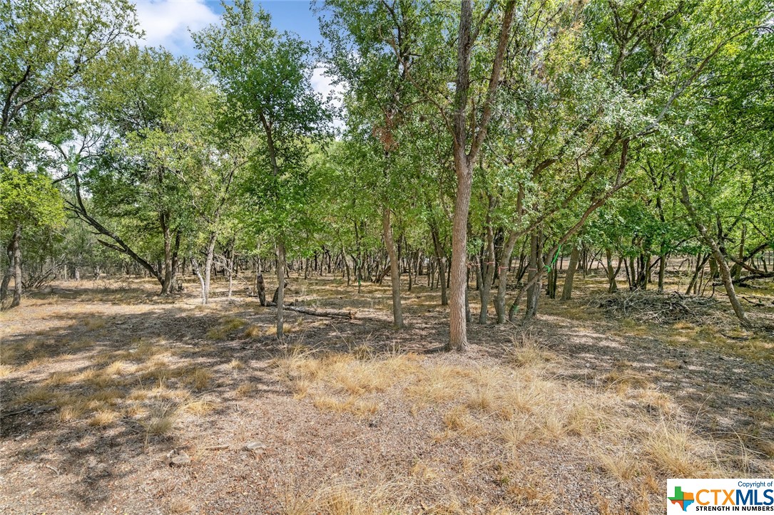 5610 Verbena Road , San Antonio, TX, 78240 | 480713 | Realty Texas LLC