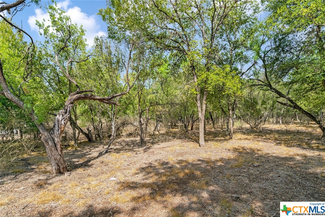 5610 Verbena Road , San Antonio, TX, 78240 | 480713 | Realty Texas LLC