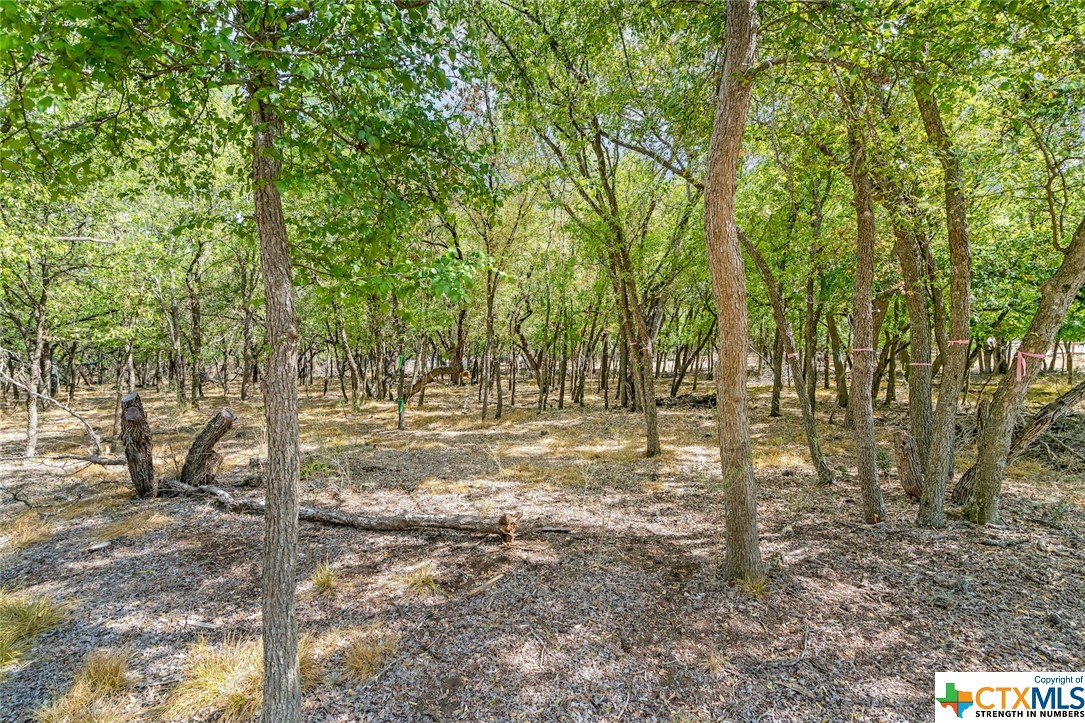 5610 Verbena Road , San Antonio, TX, 78240 | 480713 | Realty Texas LLC