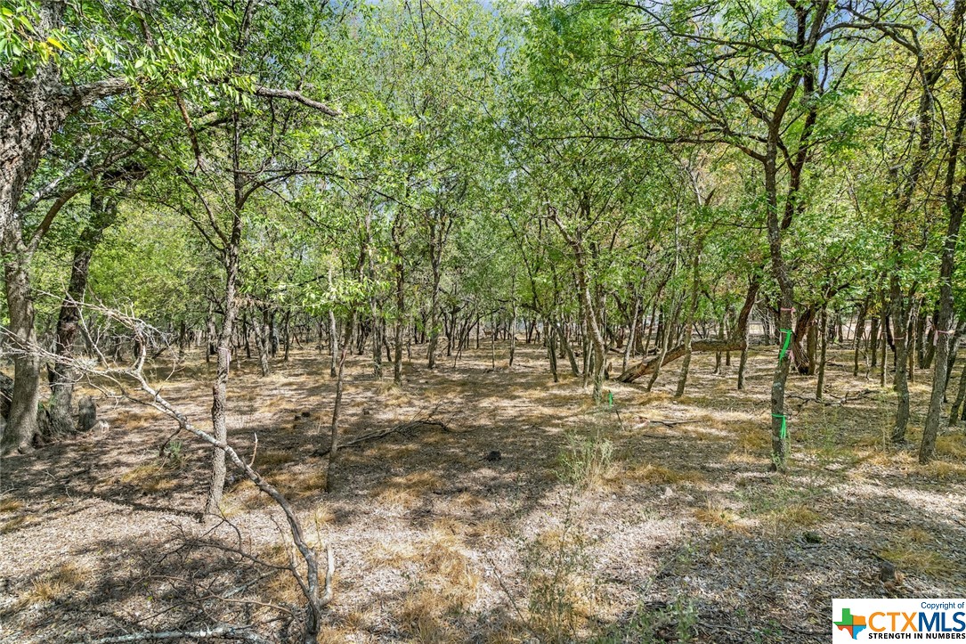 5610 Verbena Road , San Antonio, TX, 78240 | 480713 | Realty Texas LLC