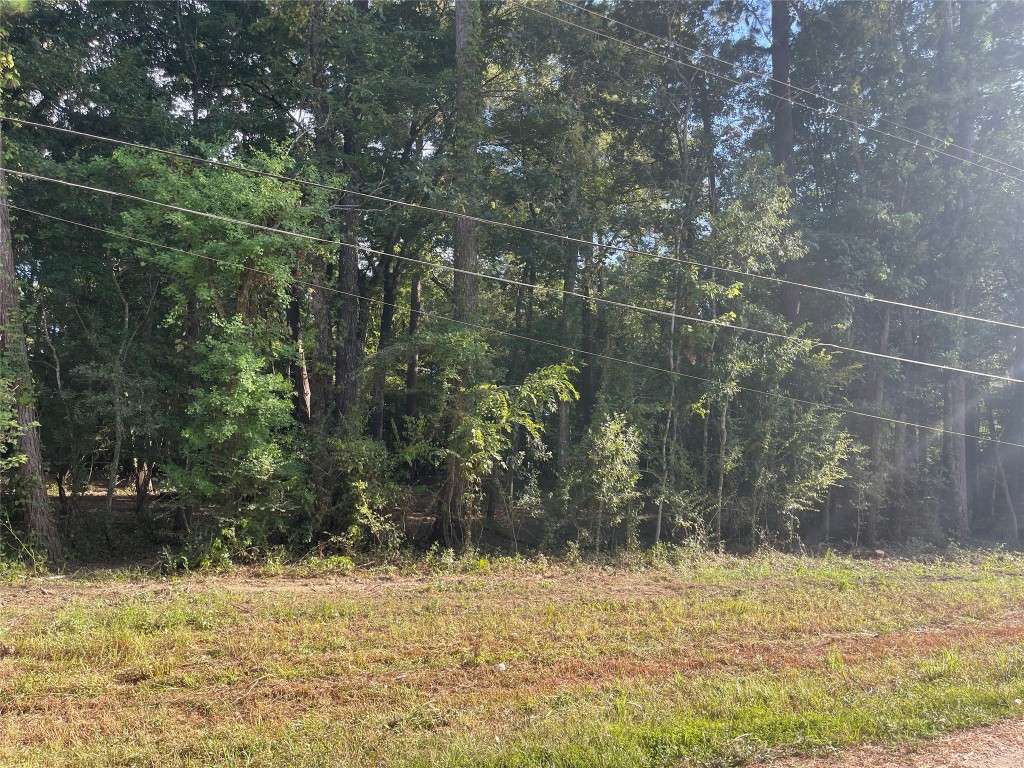 00 S Rayburn Drive, Conroe, TX, 77302 | 9716317 | Realty Texas LLC
