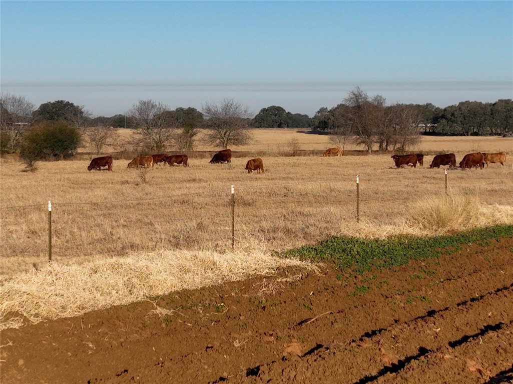 TR 12 St Hwy 97 , Floresville, TX, 78114 | 20127450 | Realty Texas LLC