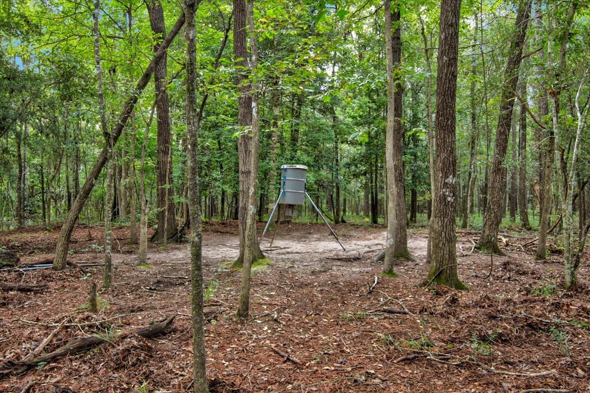000 Tx State Hwy 62 , Buna, TX, 77612 | 85667221 | Realty Texas LLC