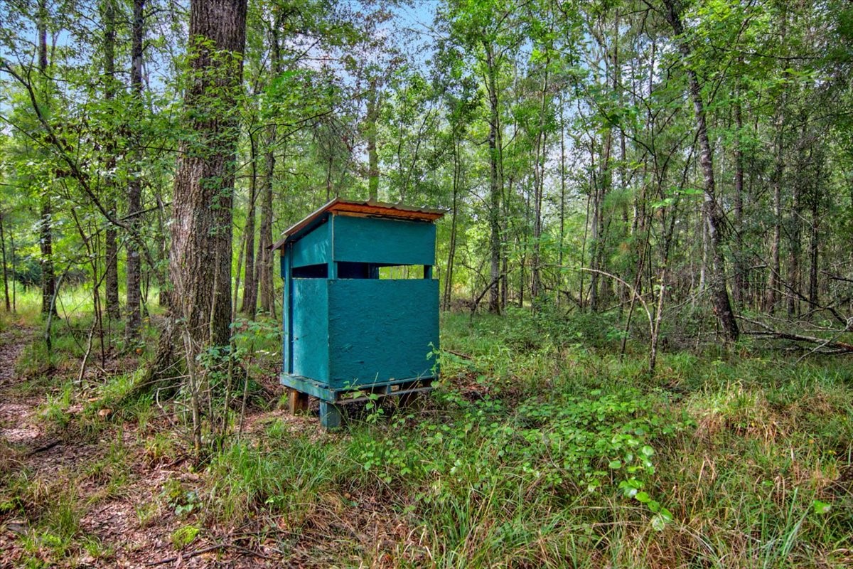000 Tx State Hwy 62 , Buna, TX, 77612 | 85667221 | Realty Texas LLC