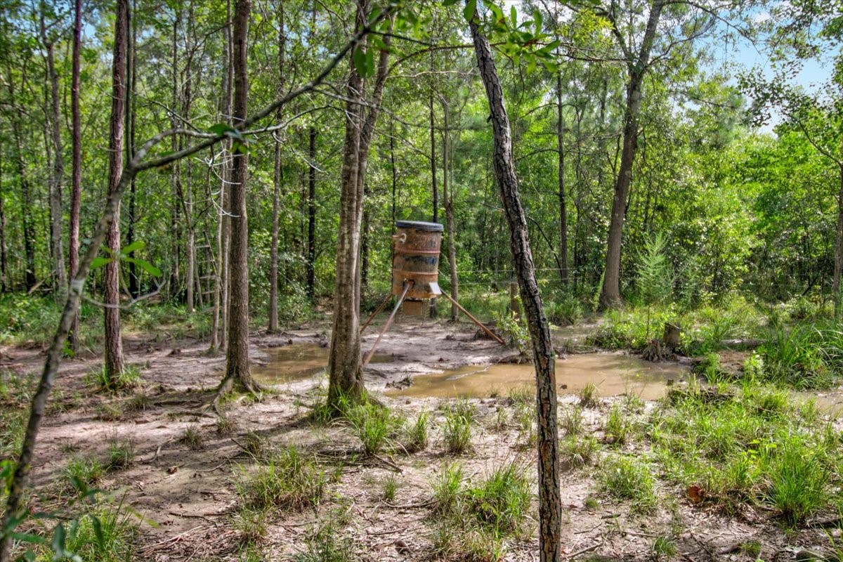 000 Tx State Hwy 62 , Buna, TX, 77612 | 85667221 | Realty Texas LLC