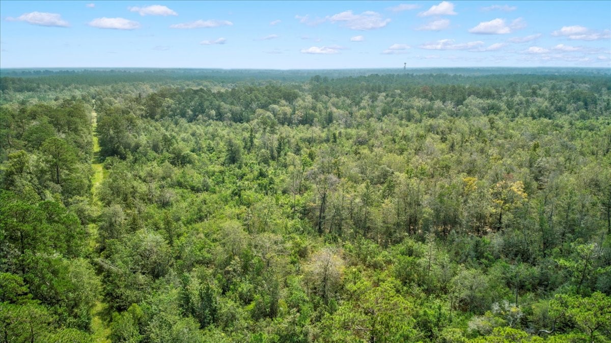 000 Tx State Hwy 62 , Buna, TX, 77612 | 85667221 | Realty Texas LLC