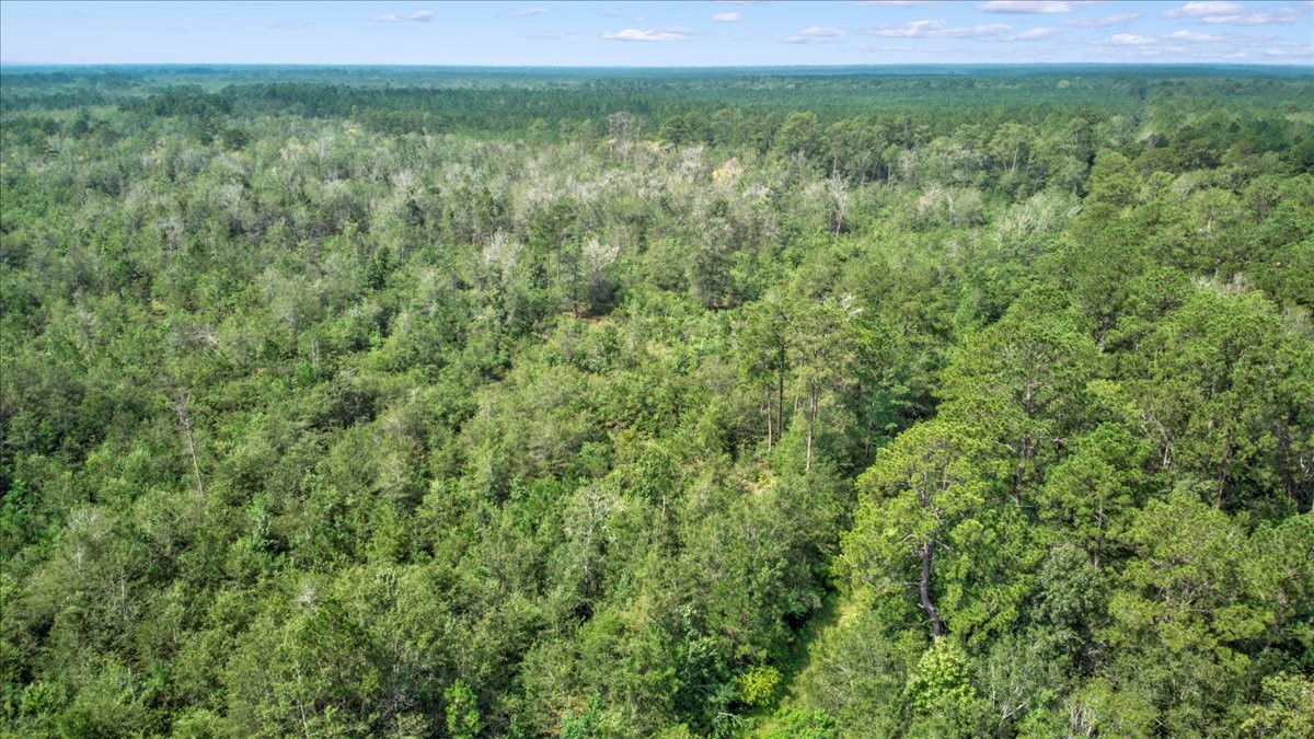 000 Tx State Hwy 62 , Buna, TX, 77612 | 85667221 | Realty Texas LLC