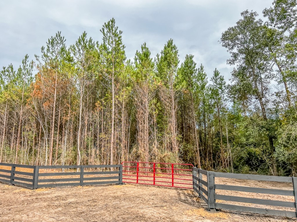 013 CR 2307 , Cleveland, TX, 77327 | 20238281 | Realty Texas LLC
