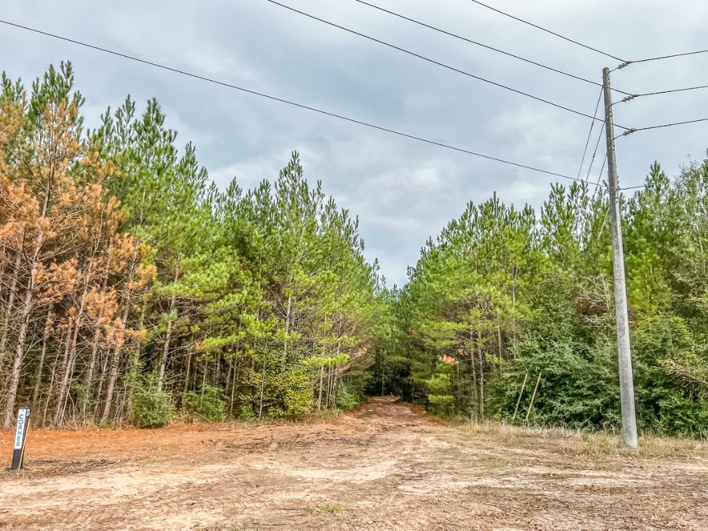 013 CR 2307 , Cleveland, TX, 77327 | 20238281 | Realty Texas LLC