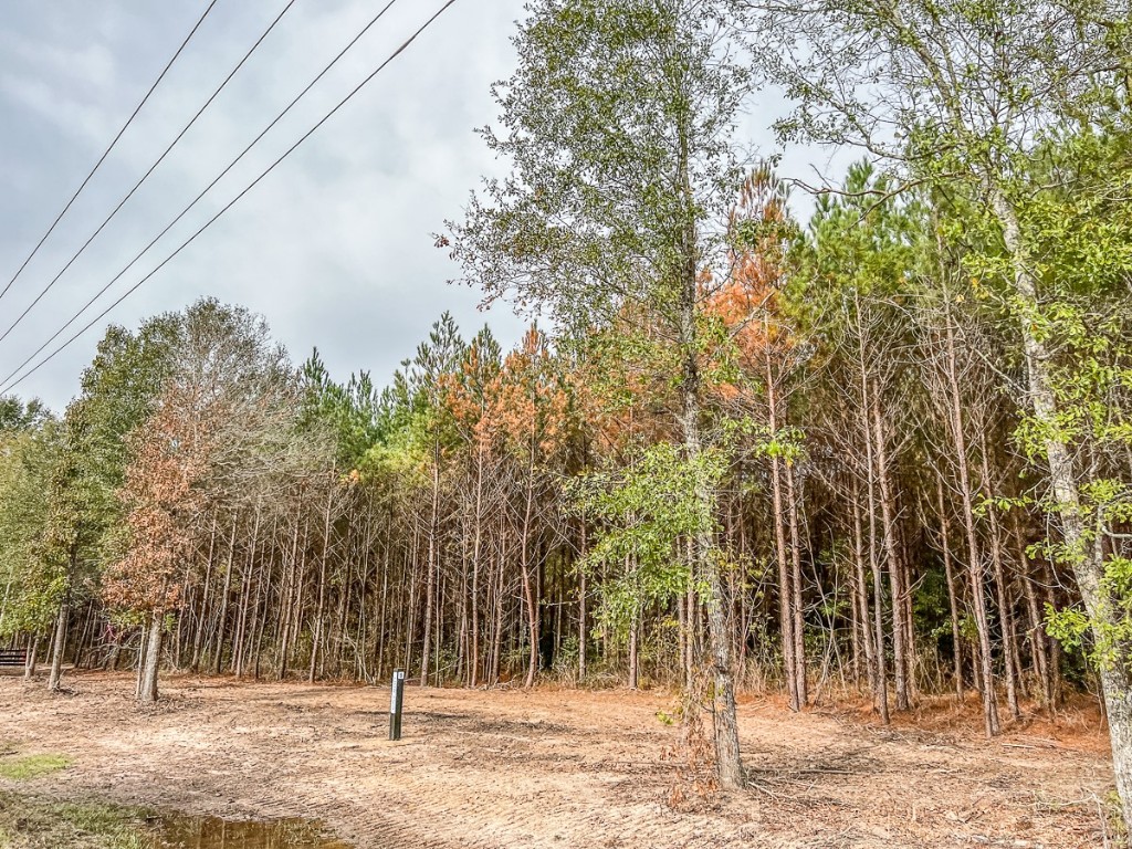 013 CR 2307 , Cleveland, TX, 77327 | 20238281 | Realty Texas LLC
