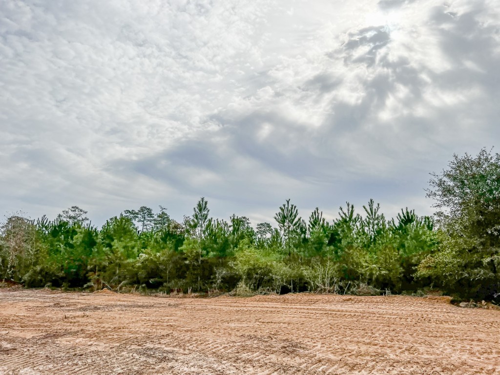 013 CR 2307 , Cleveland, TX, 77327 | 20238281 | Realty Texas LLC